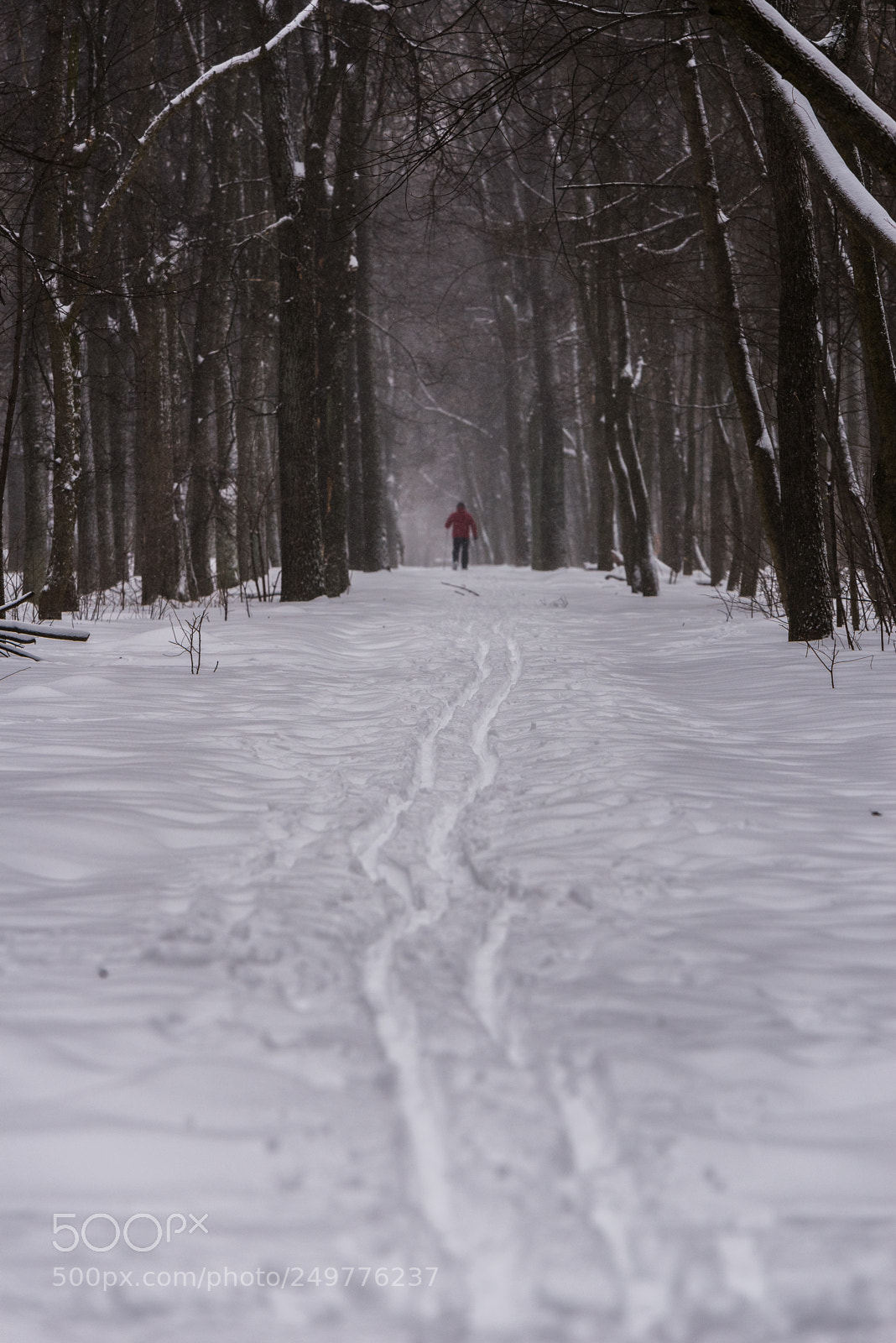 Nikon D610 sample photo. Winter in kiev photography