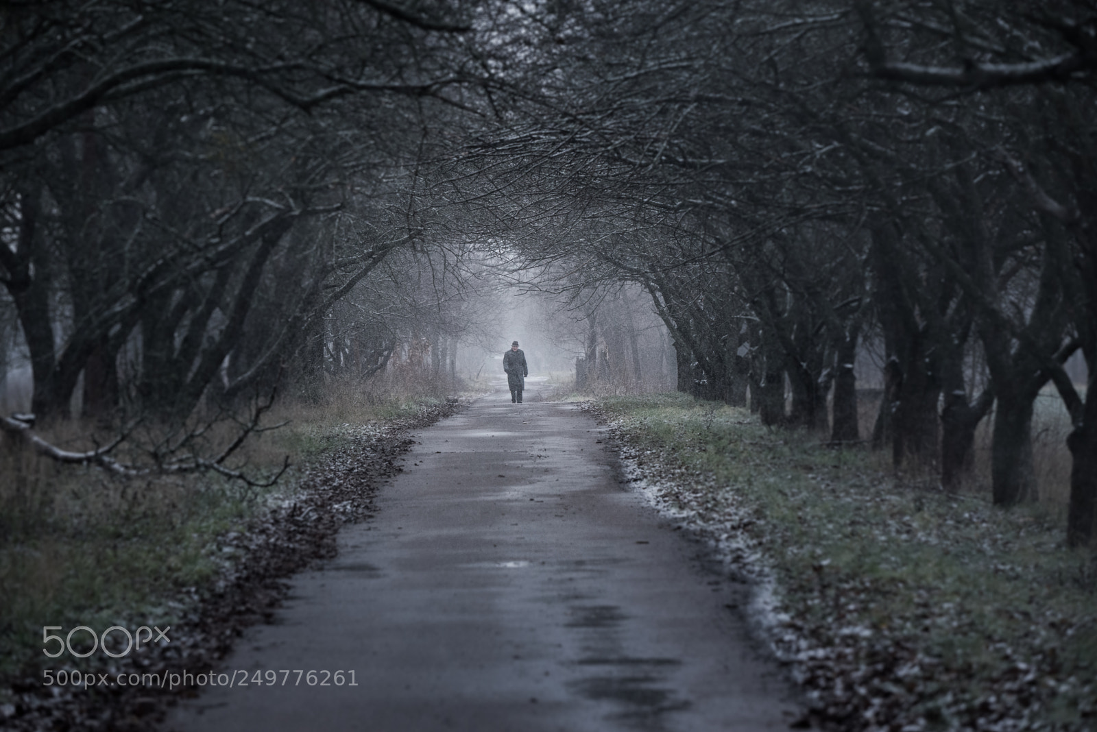 Nikon D610 sample photo. Winter in kiev photography