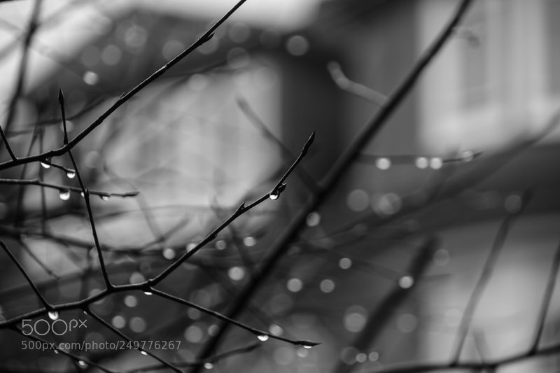 Nikon D5200 sample photo. Regentropfen photography