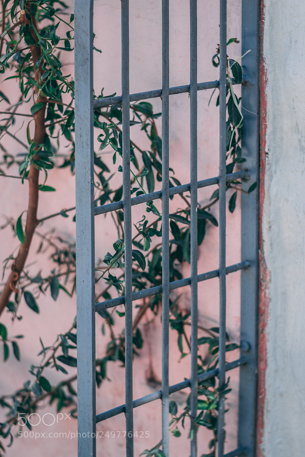 Canon EOS 70D sample photo. Img photography