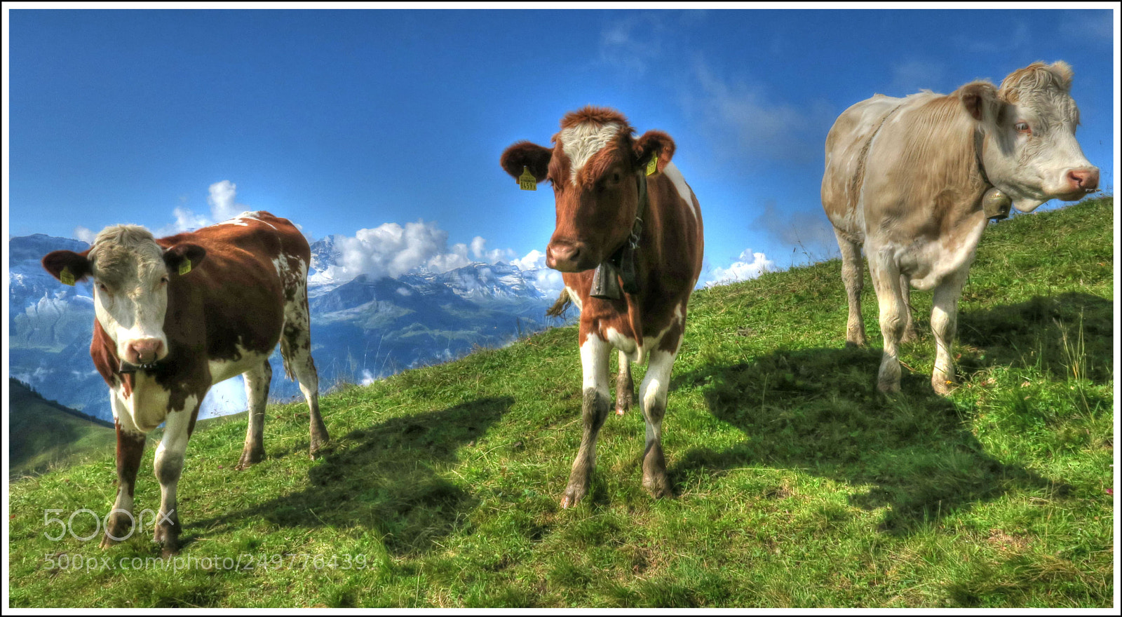 Canon PowerShot G3 X sample photo. Die jungen wilden photography