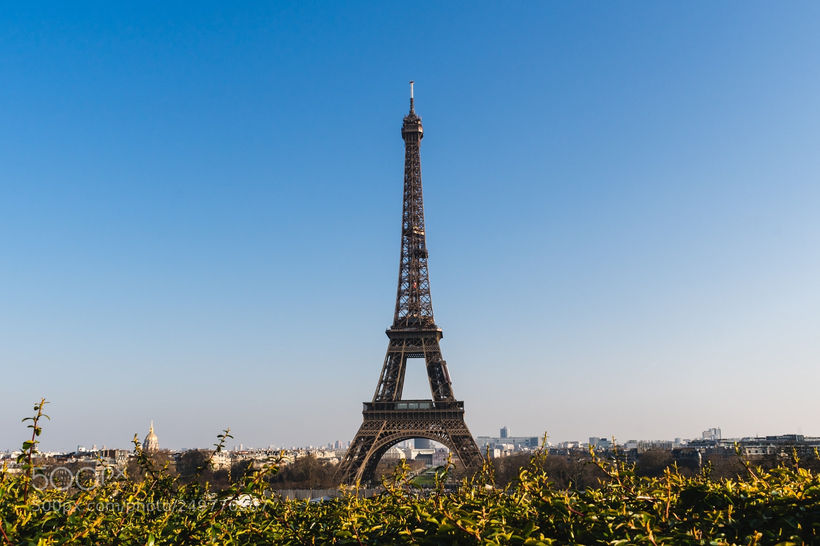 Nikon D3400 sample photo. Eiffel tower with lawn photography