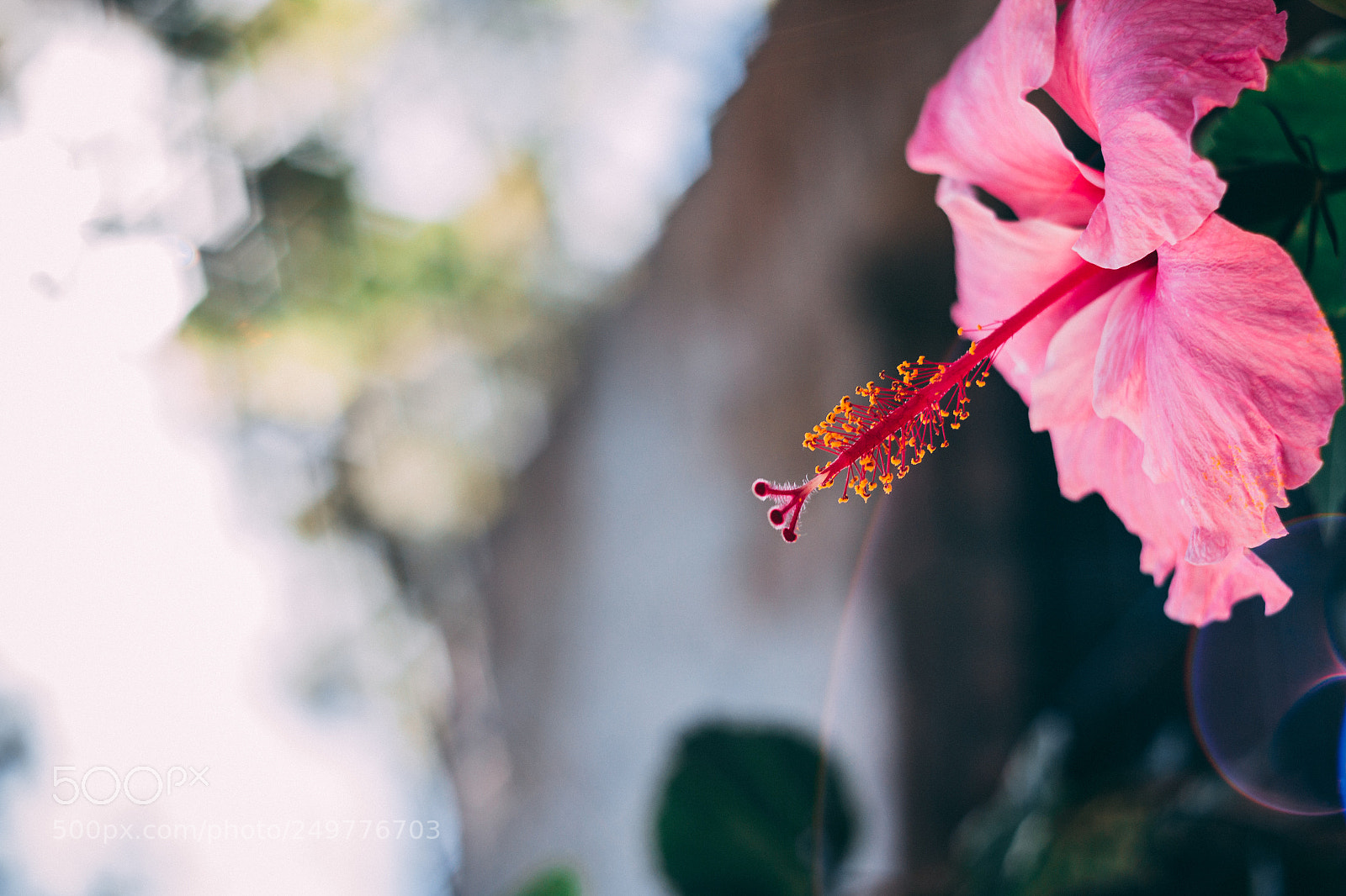 Canon EOS 70D sample photo. Img photography