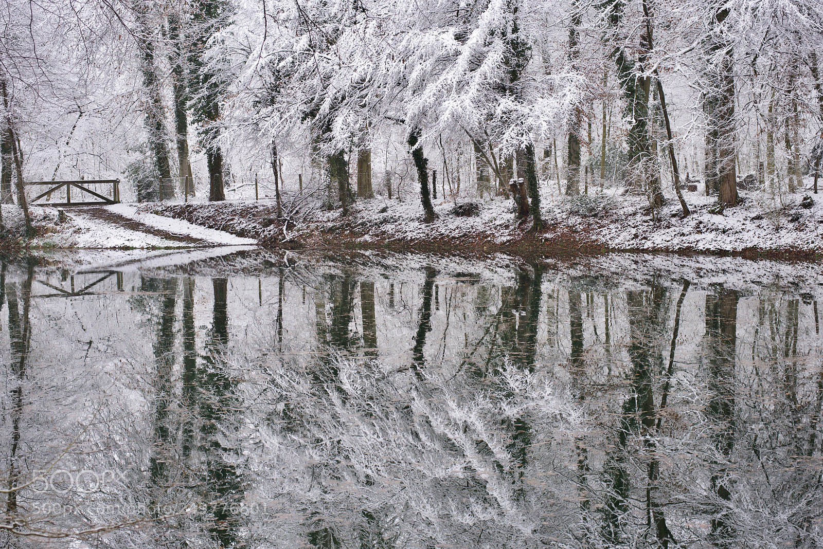Nikon D810 sample photo. Strange world photography