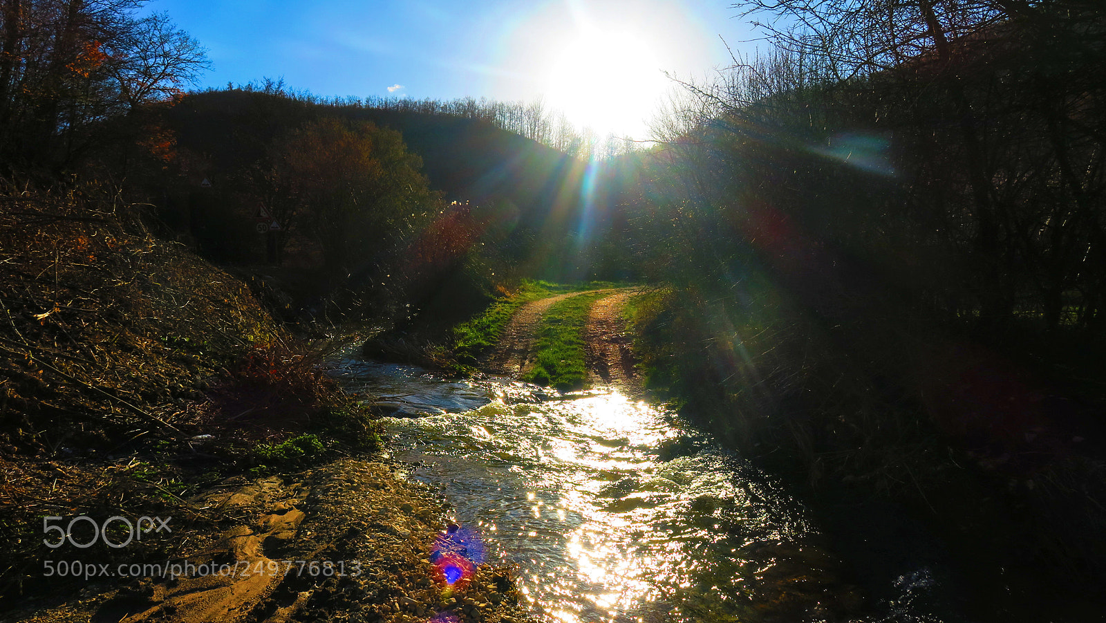 Canon PowerShot G3 X sample photo. Backlight photography