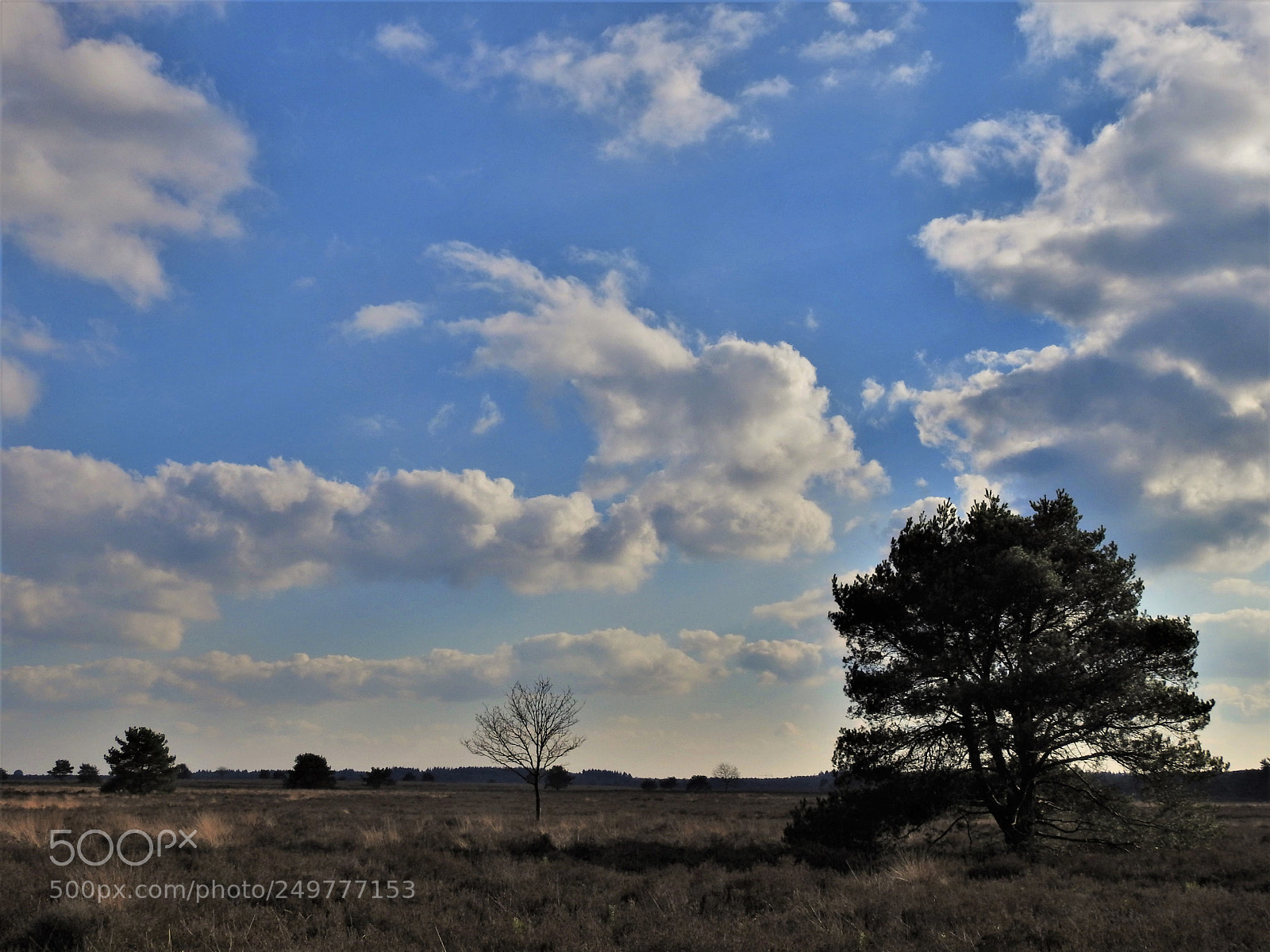 Nikon Coolpix P900 sample photo. A beautiful sky above photography