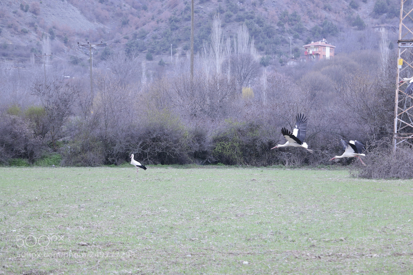 Canon EOS 70D sample photo. Untitled photography