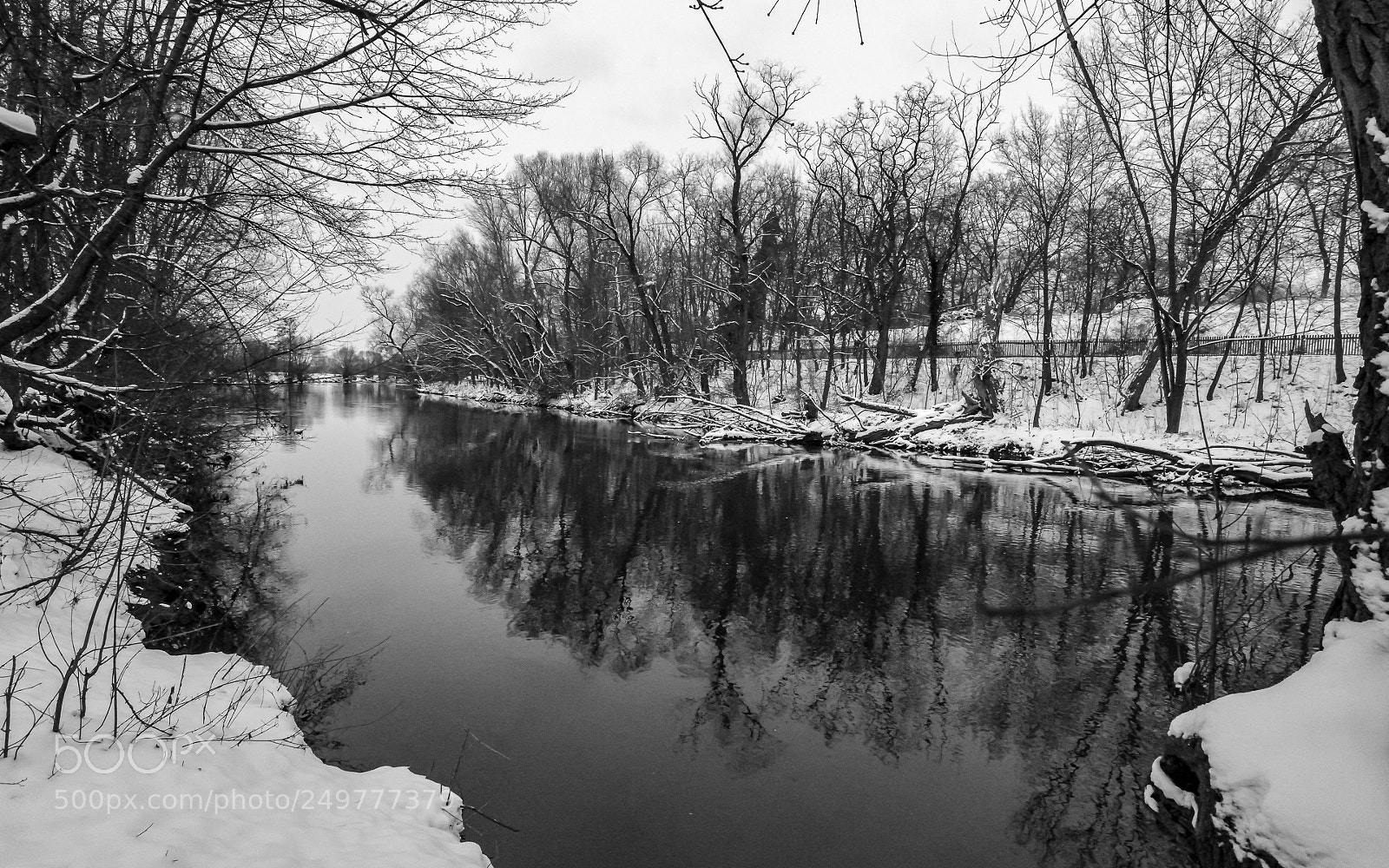 Nikon D800 sample photo. Pegnitz in snow photography
