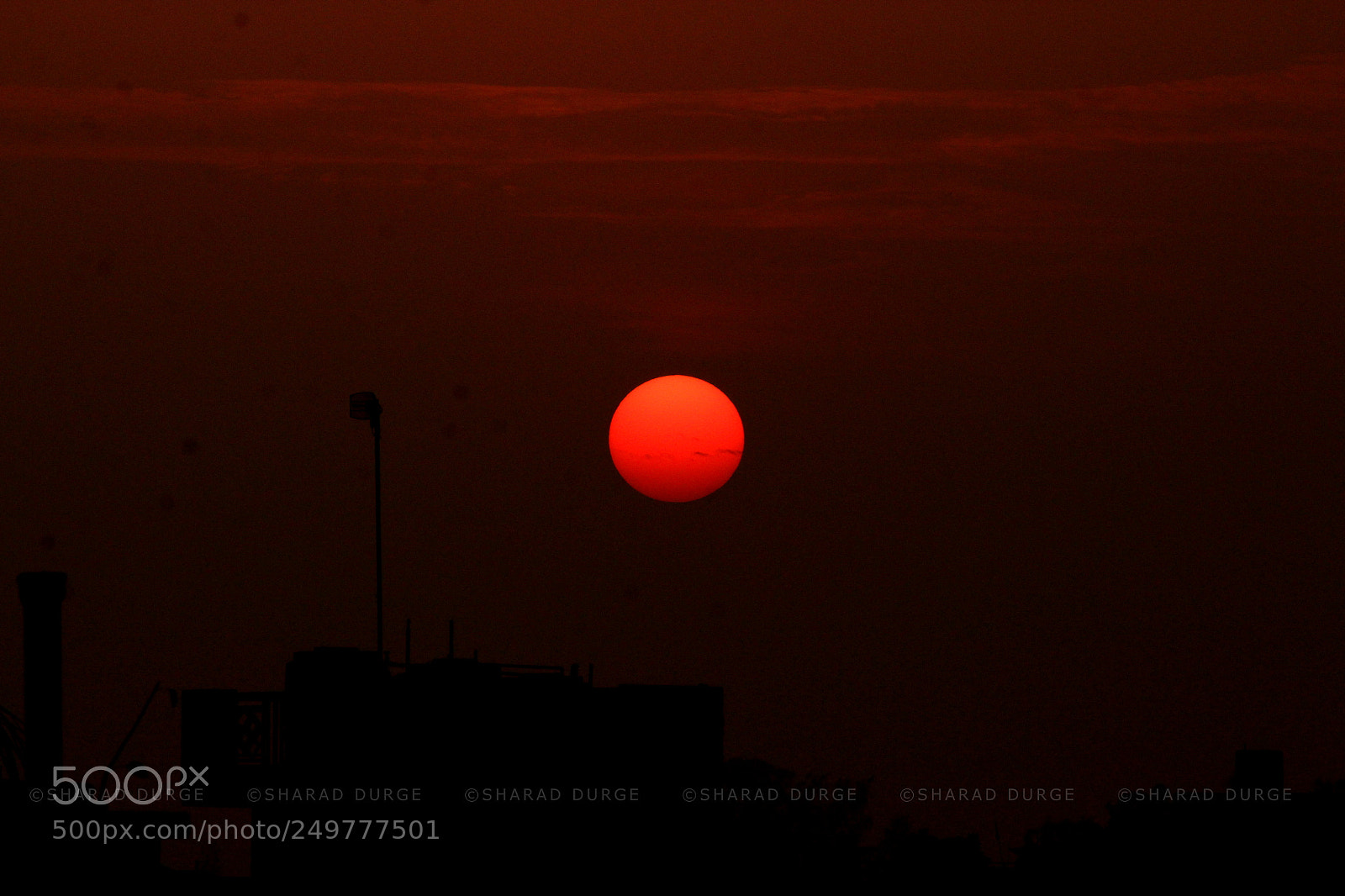 Canon EF-S 55-250mm F4-5.6 IS II sample photo. Eve sun photography