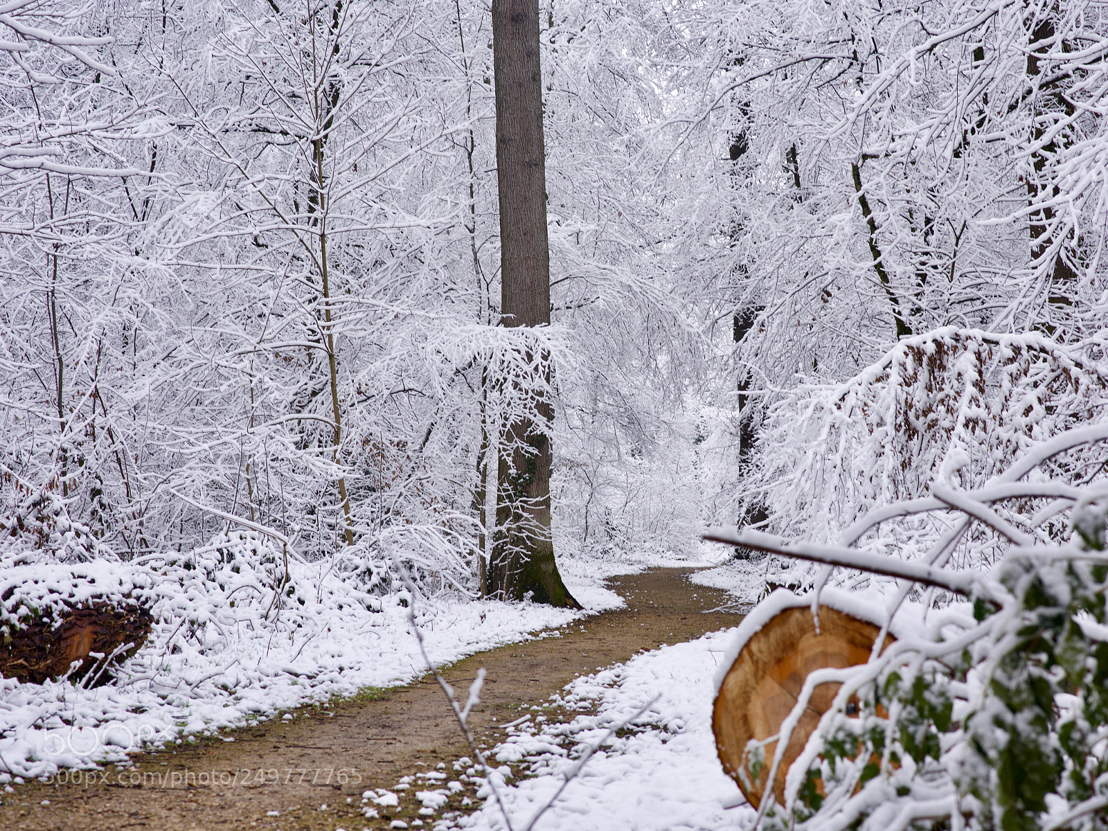 Nikon D810 sample photo. What a wonderful world photography