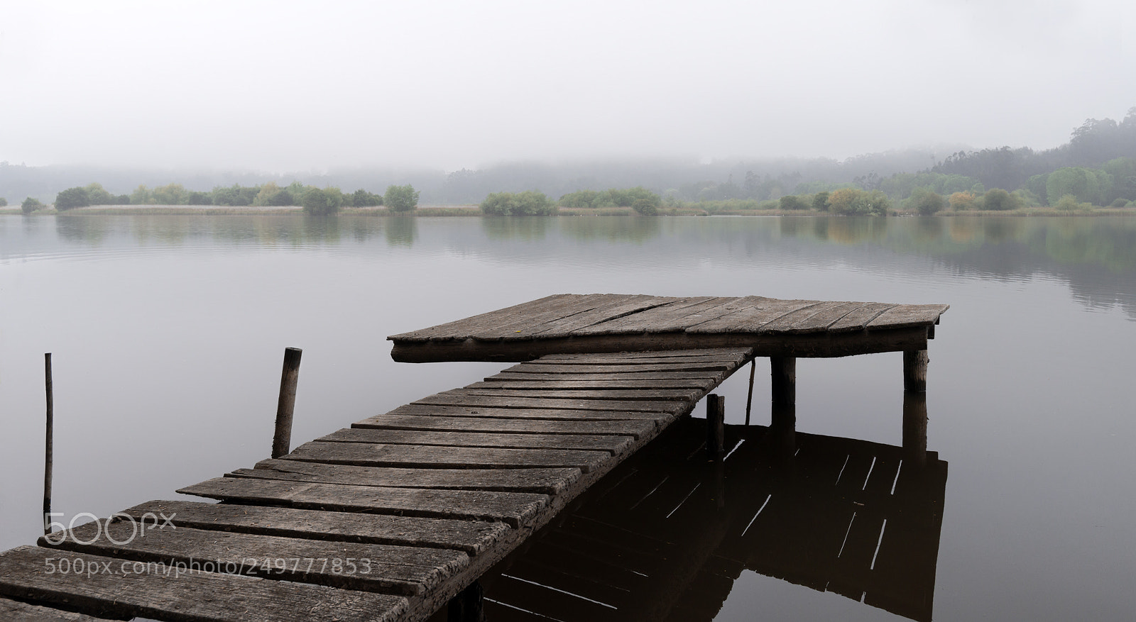Nikon D610 sample photo. The mist photography