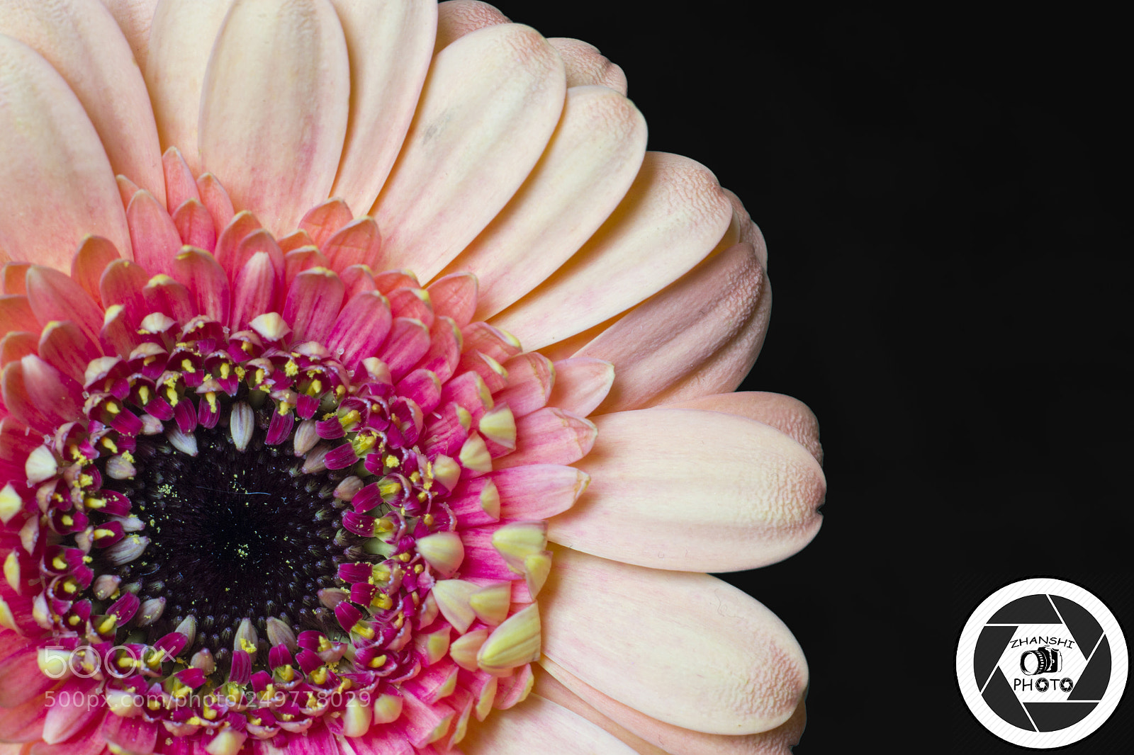 Nikon D3100 sample photo. Germini photography