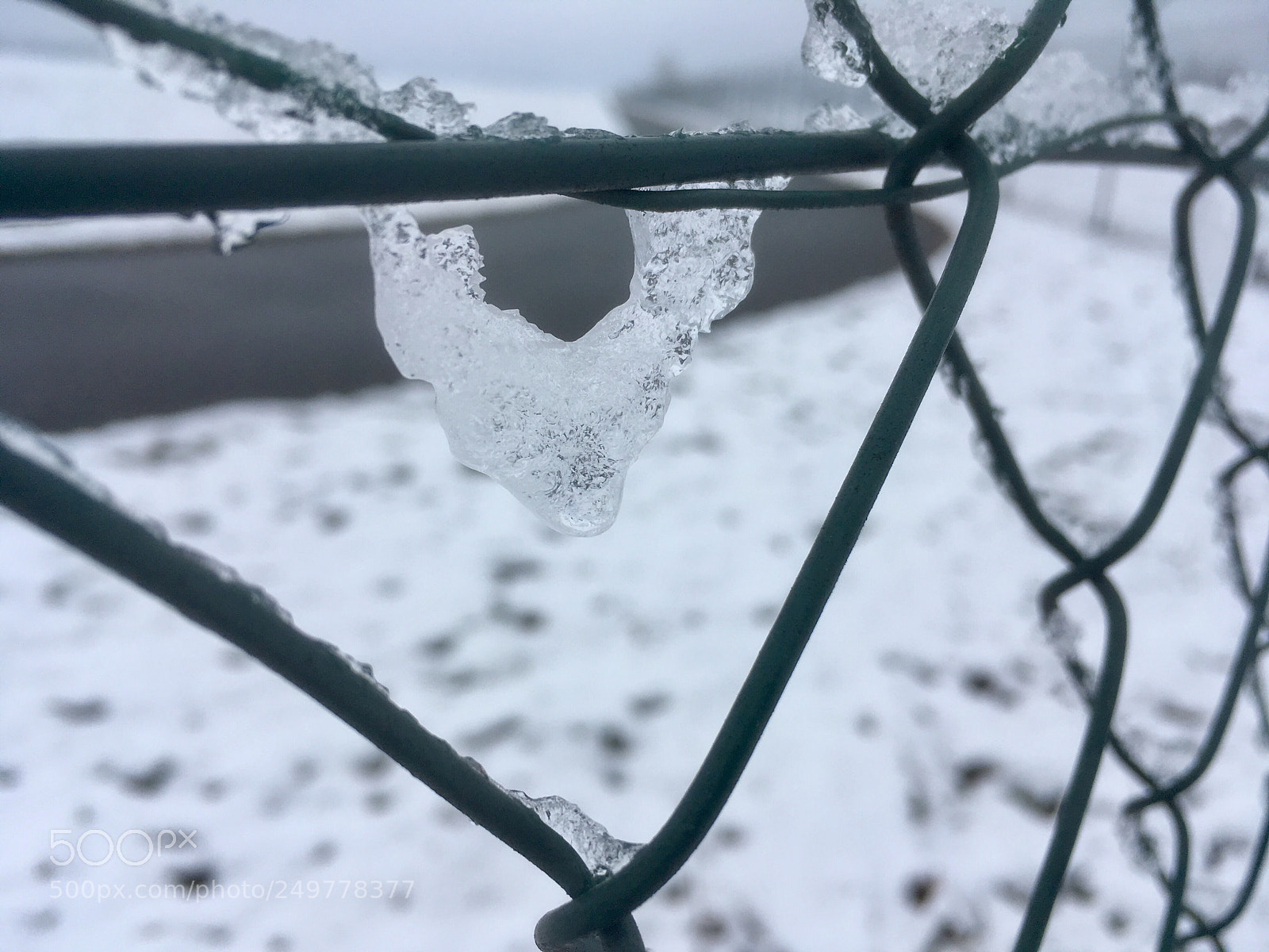Apple iPhone SE sample photo. Untitled photography