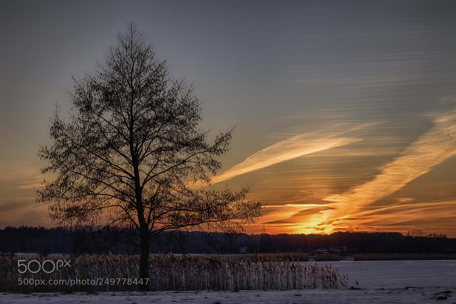 Canon EOS 760D (EOS Rebel T6s / EOS 8000D) sample photo. Winter sunset photography