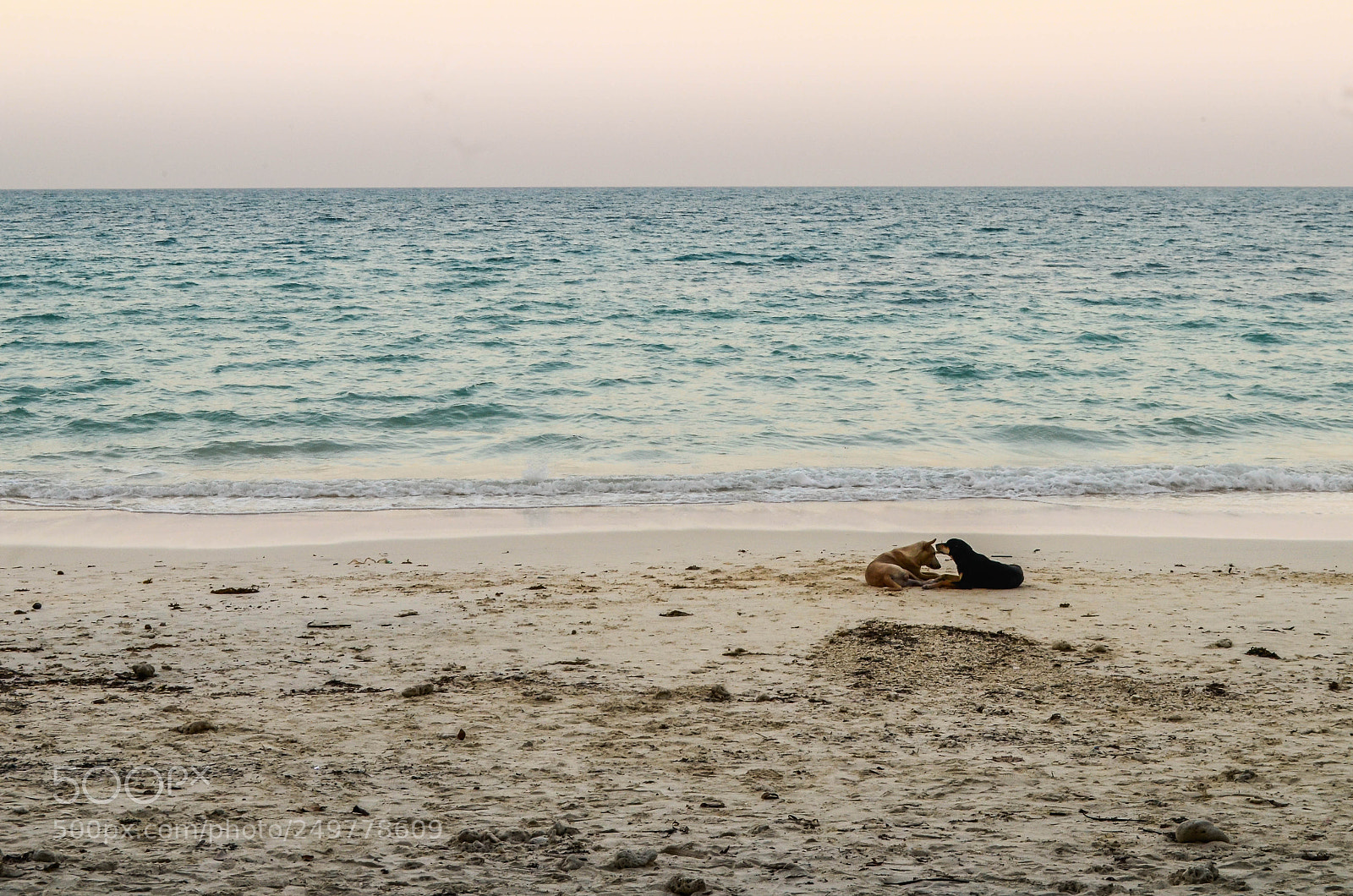 Nikon D5100 sample photo. L o v e photography