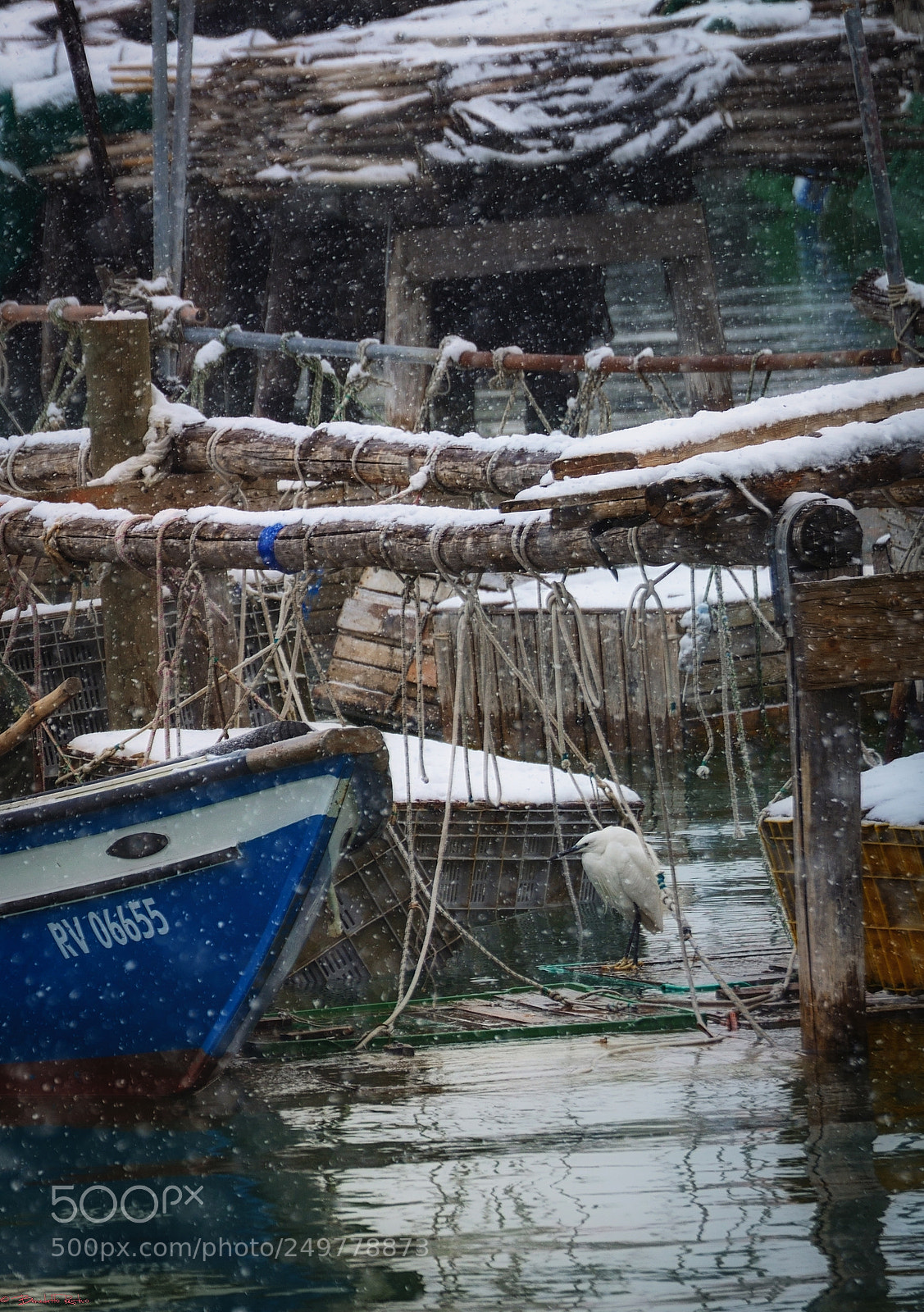 Nikon D5100 sample photo. Dettagli nella neve..... photography