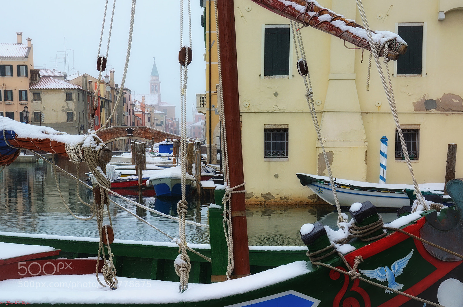 Nikon D5100 sample photo. Dettagli nella neve..... photography