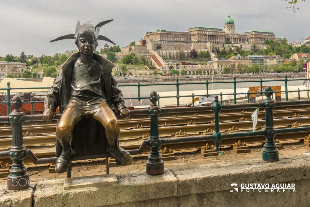 Canon EOS 60D sample photo. Little prince statue kiskir photography