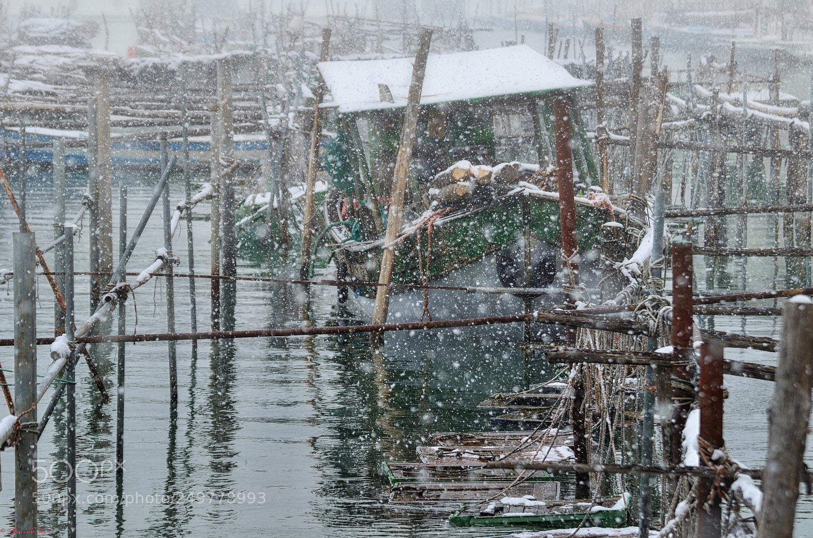 Nikon D5100 sample photo. Dettagli nella neve..... photography