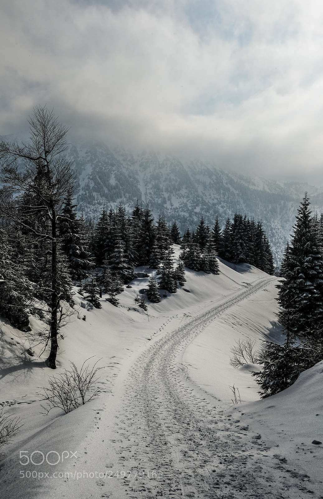Fujifilm X-Pro2 sample photo. The way downhill photography