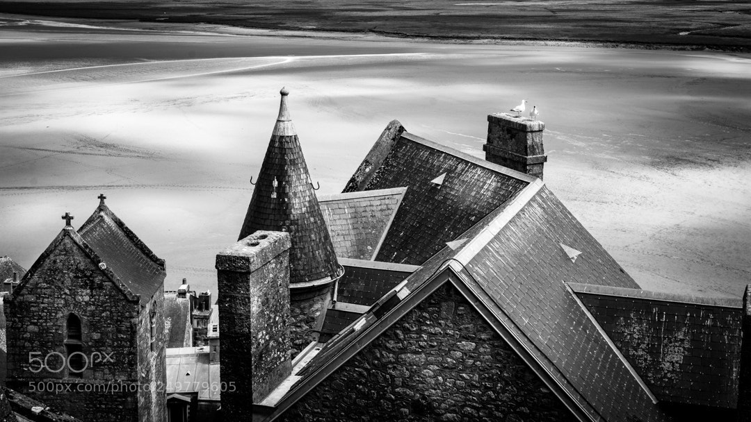 Nikon D7100 sample photo. Sur les toits du photography