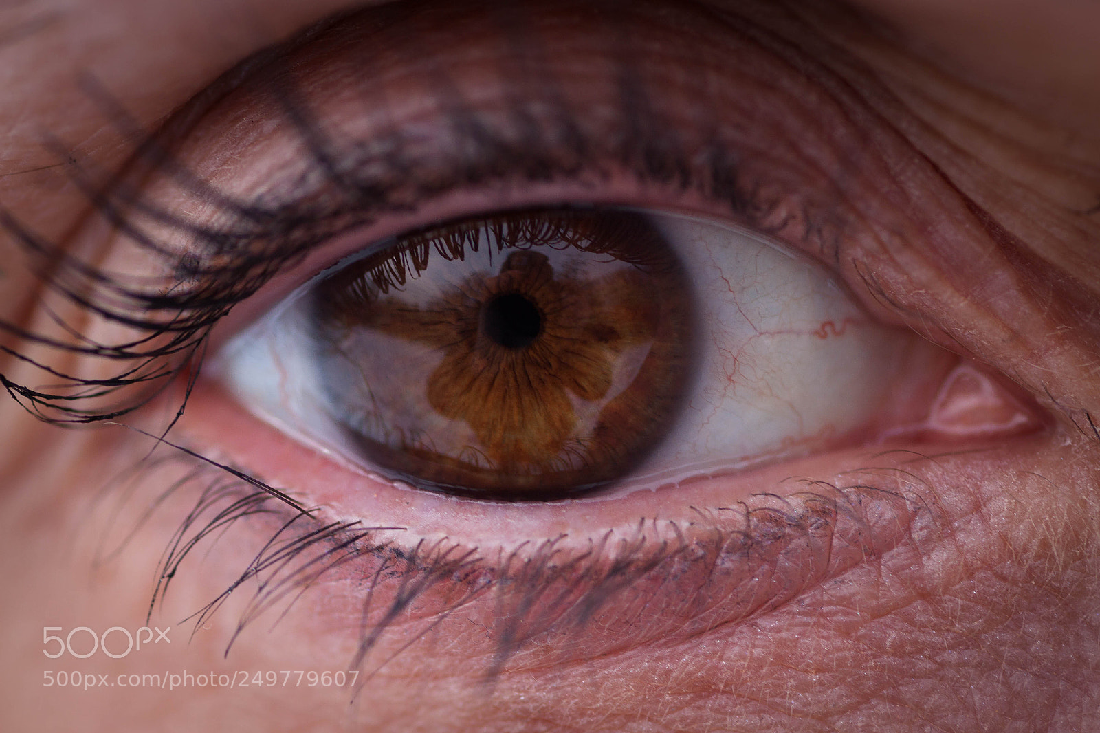 Canon EOS 50D sample photo. Eye photography