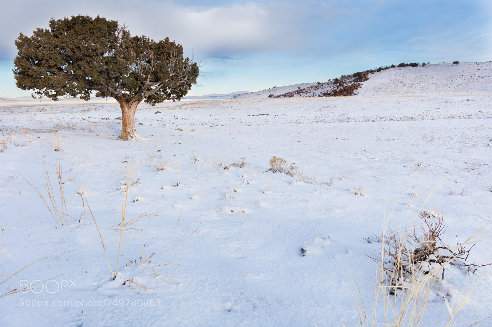 Canon EOS 5DS sample photo. Snow covered west desert photography