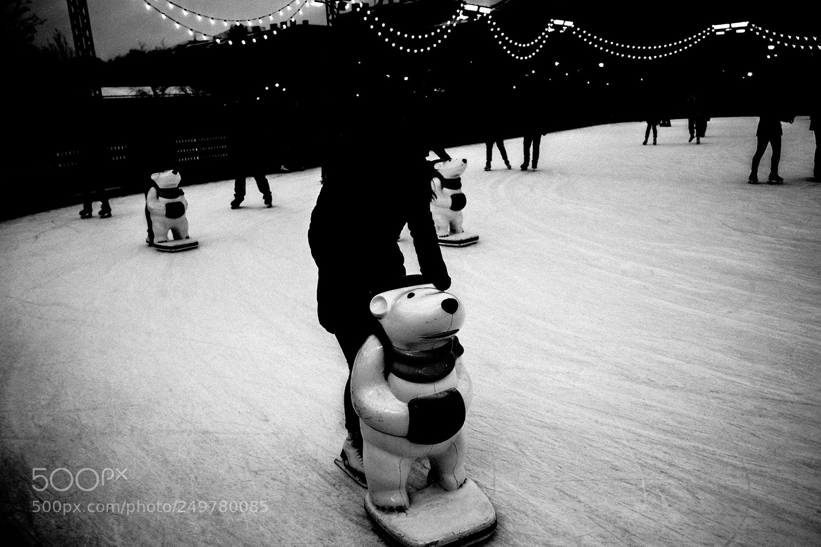 Fujifilm X-Pro1 sample photo. Bears ahead photography