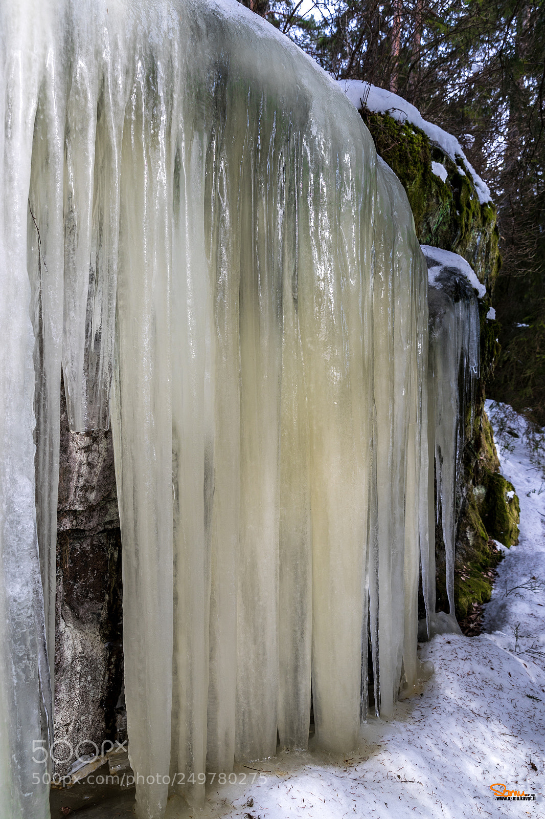 Canon EOS-1D X Mark II sample photo. Iceflow photography