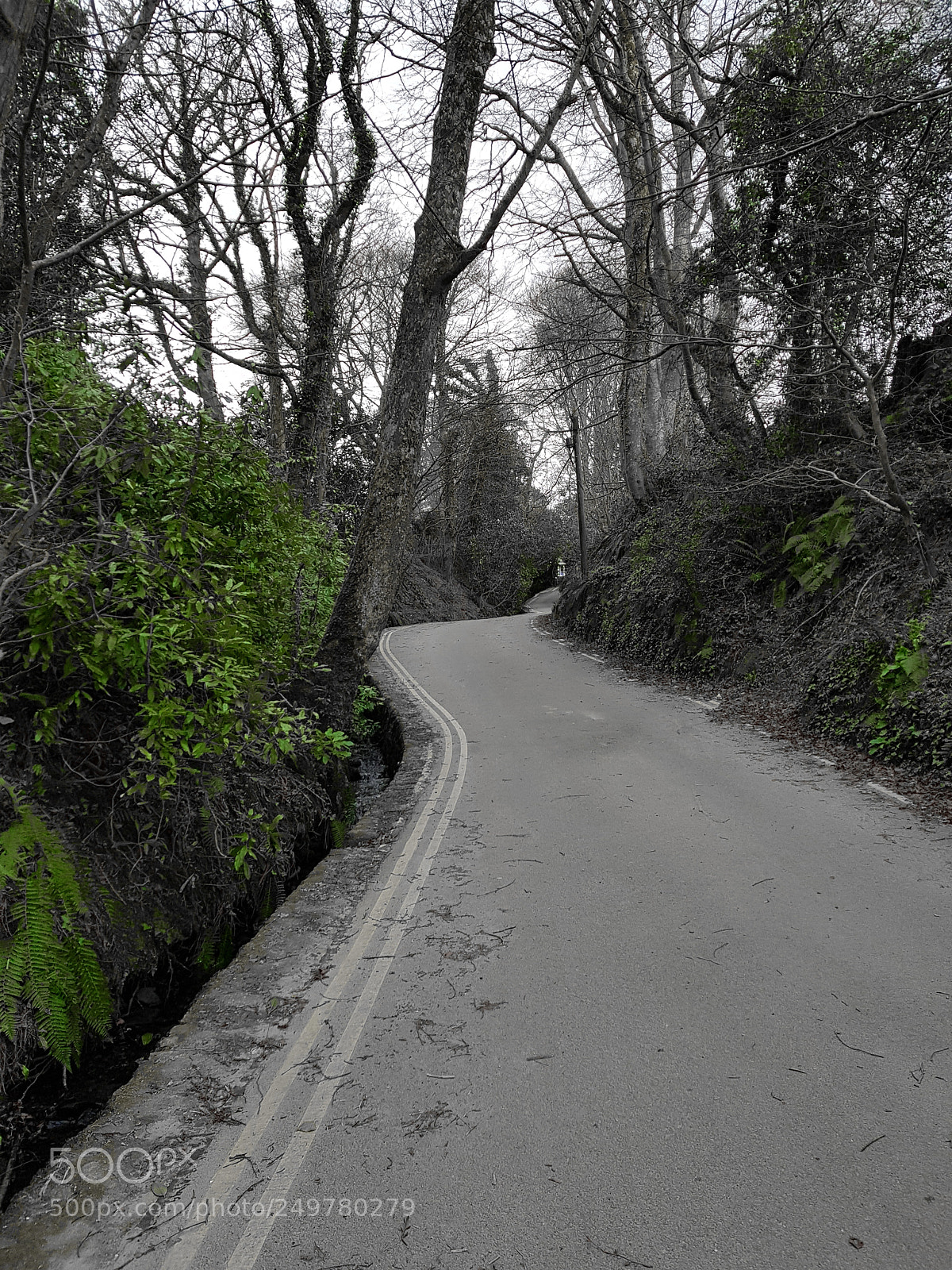 Samsung Galaxy S8+ sample photo. Road to nowhere photography