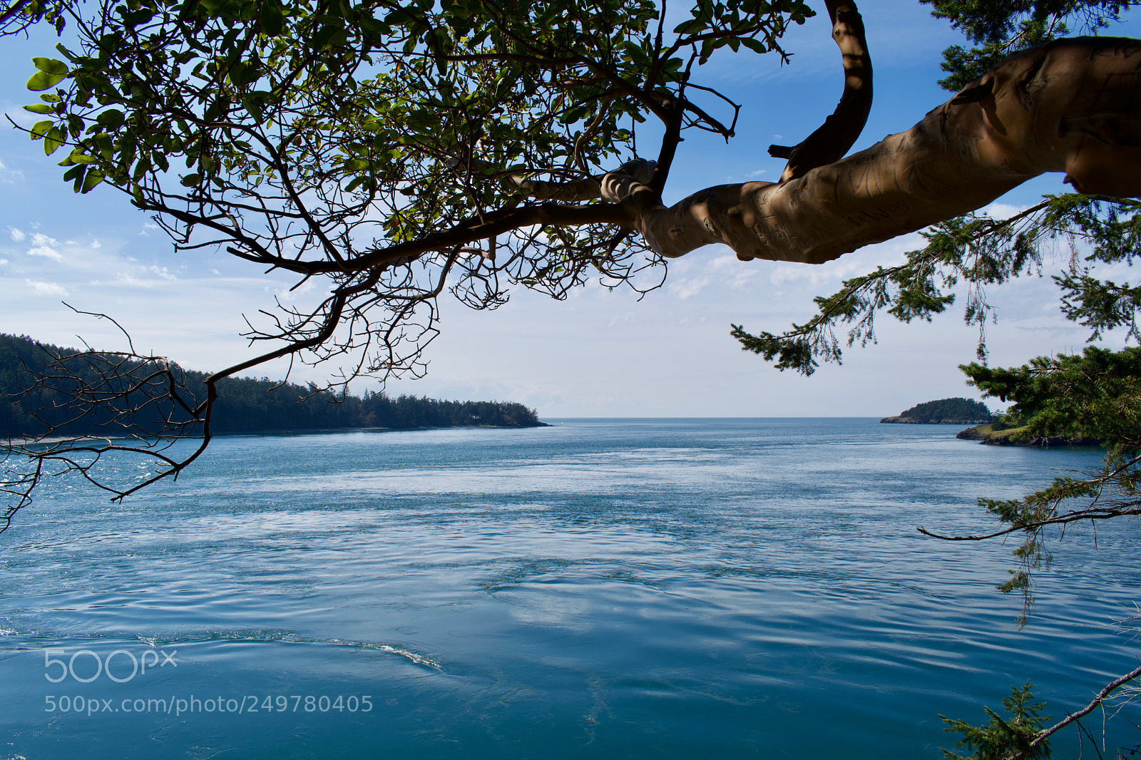 Nikon D3300 sample photo. Paradise in the pnw photography