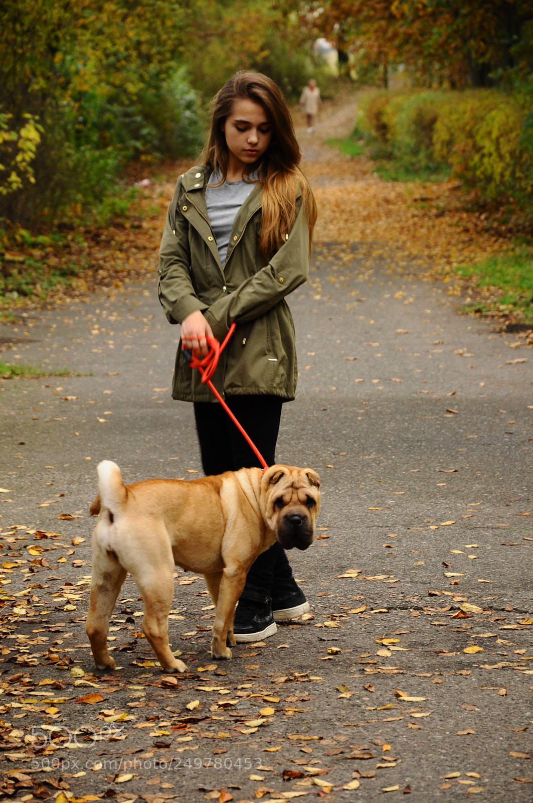Nikon D90 sample photo. Untitled photography