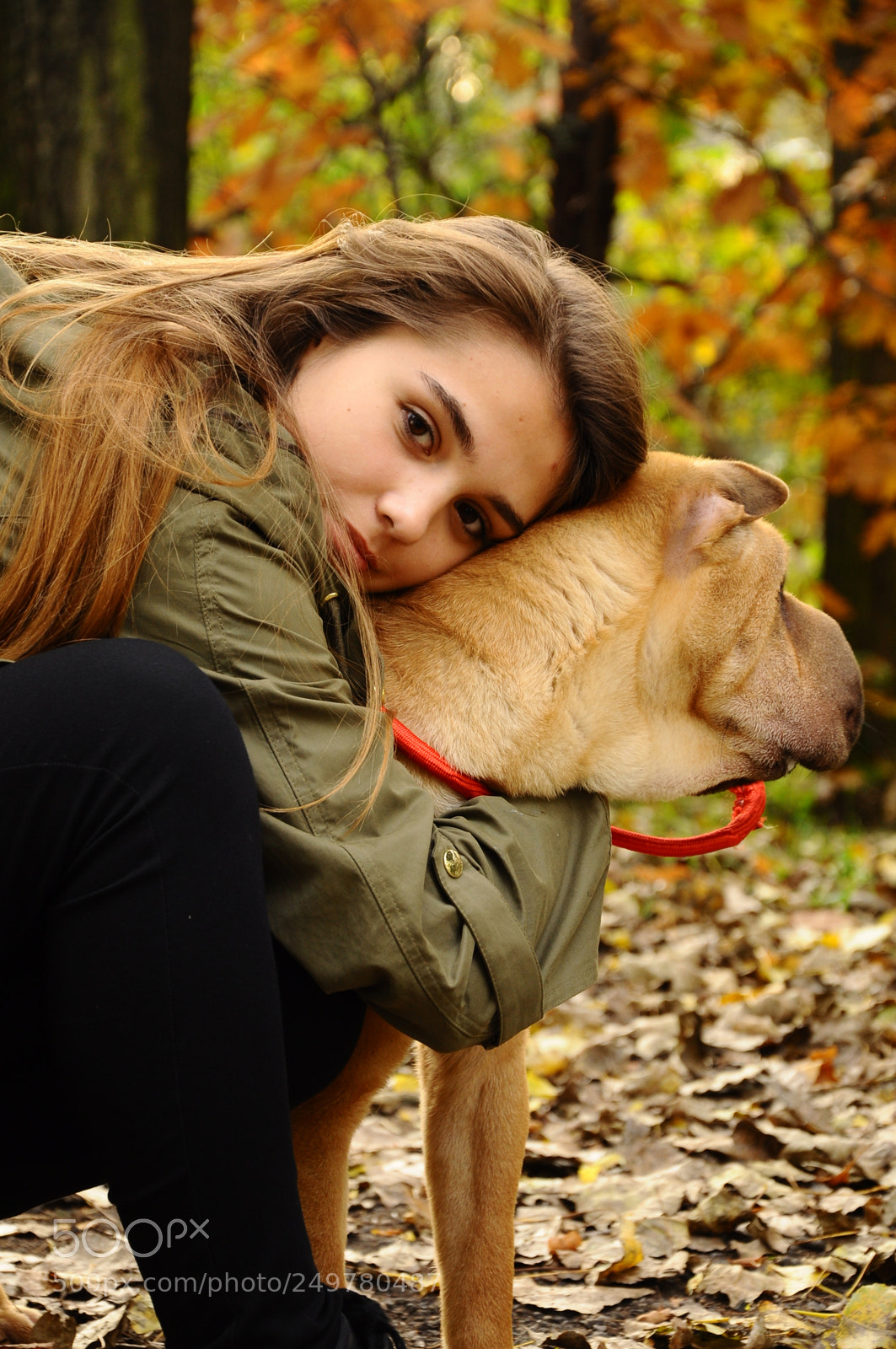 Nikon D90 sample photo. Untitled photography