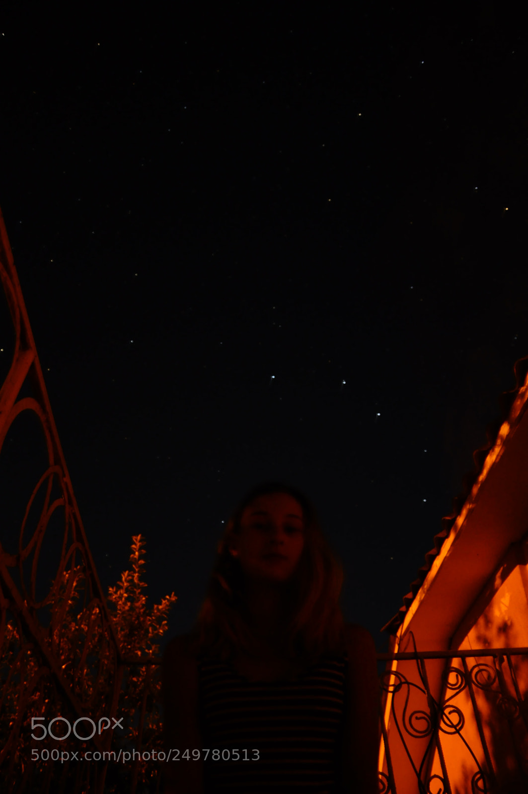 Nikon D90 sample photo. Untitled photography