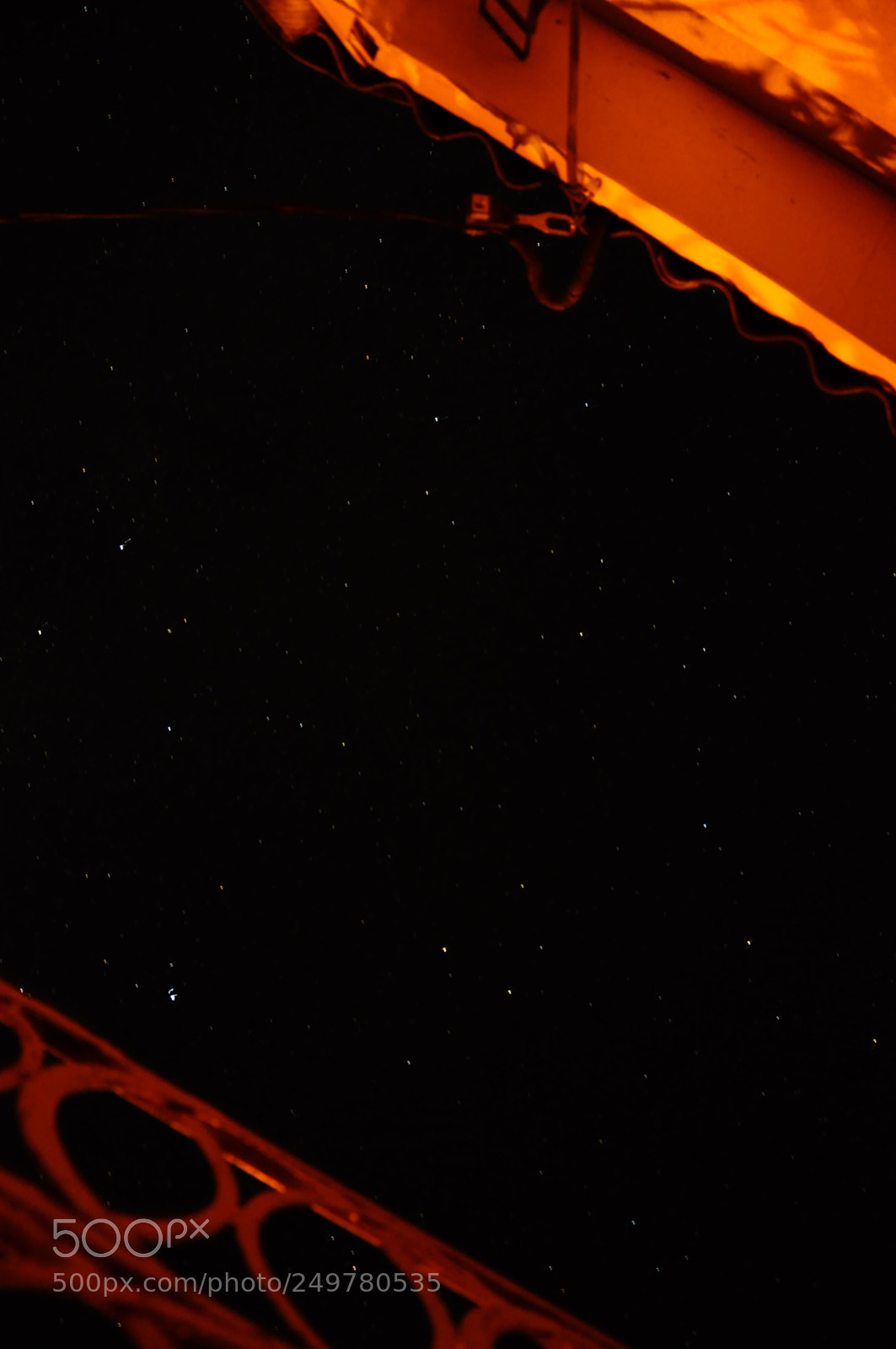 Nikon D90 sample photo. Untitled photography