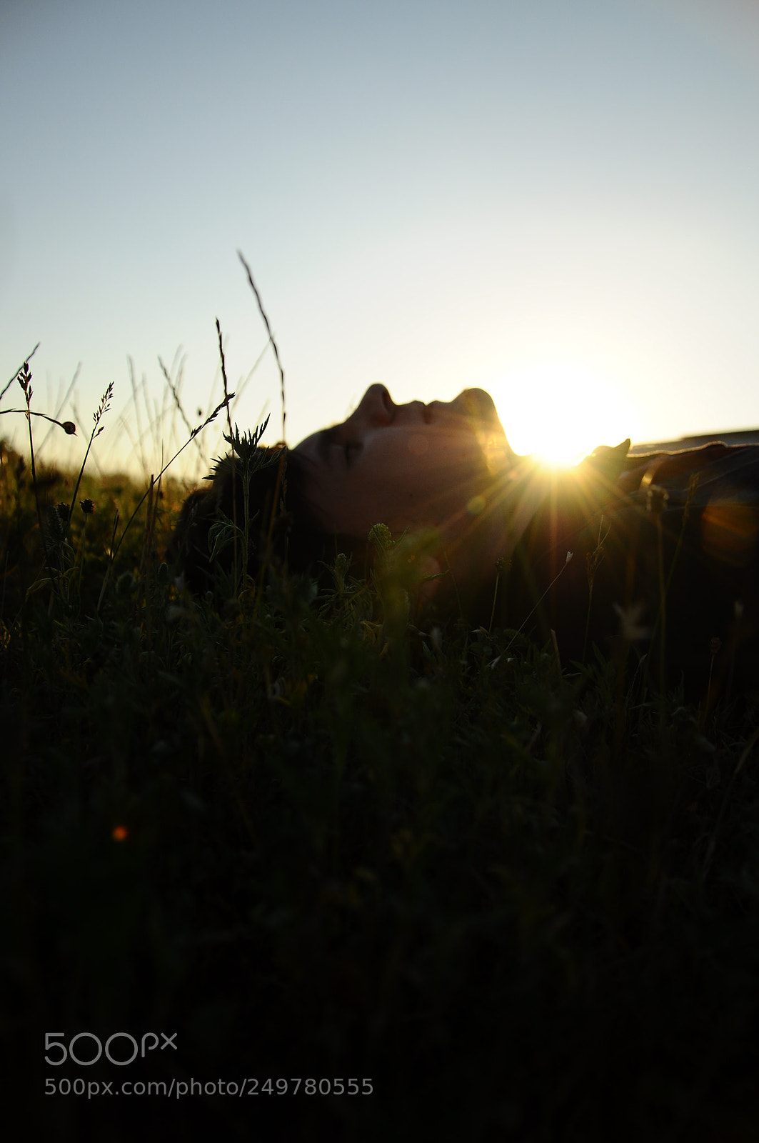 Nikon D90 sample photo. Untitled photography