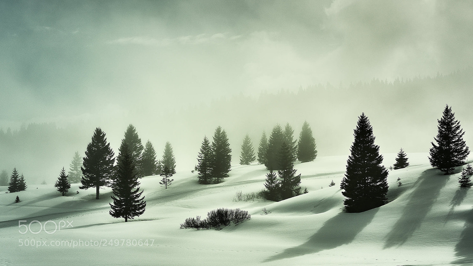Sony a7R II sample photo. Snow v photography