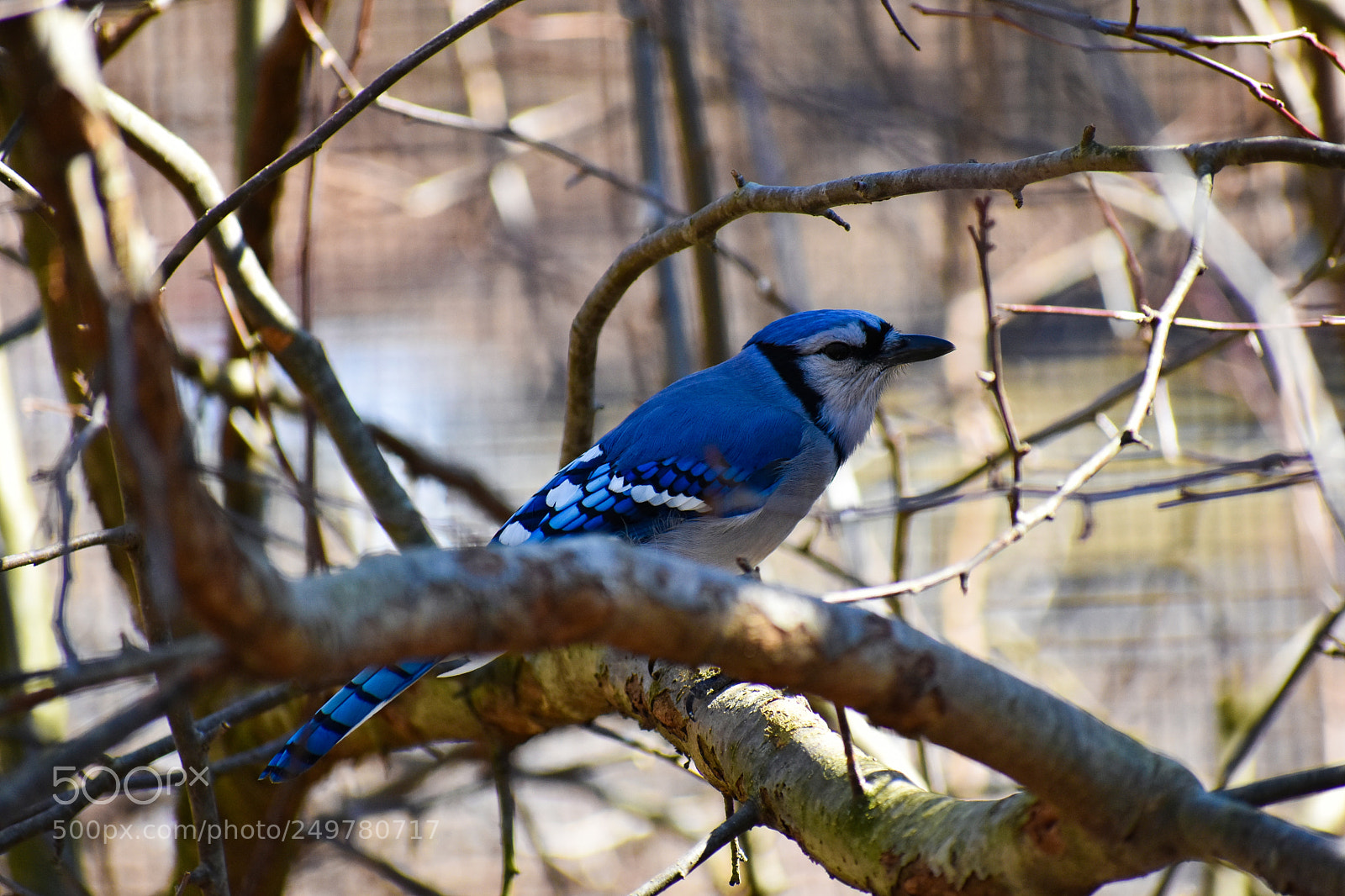 Nikon D3400 sample photo. Jay photography