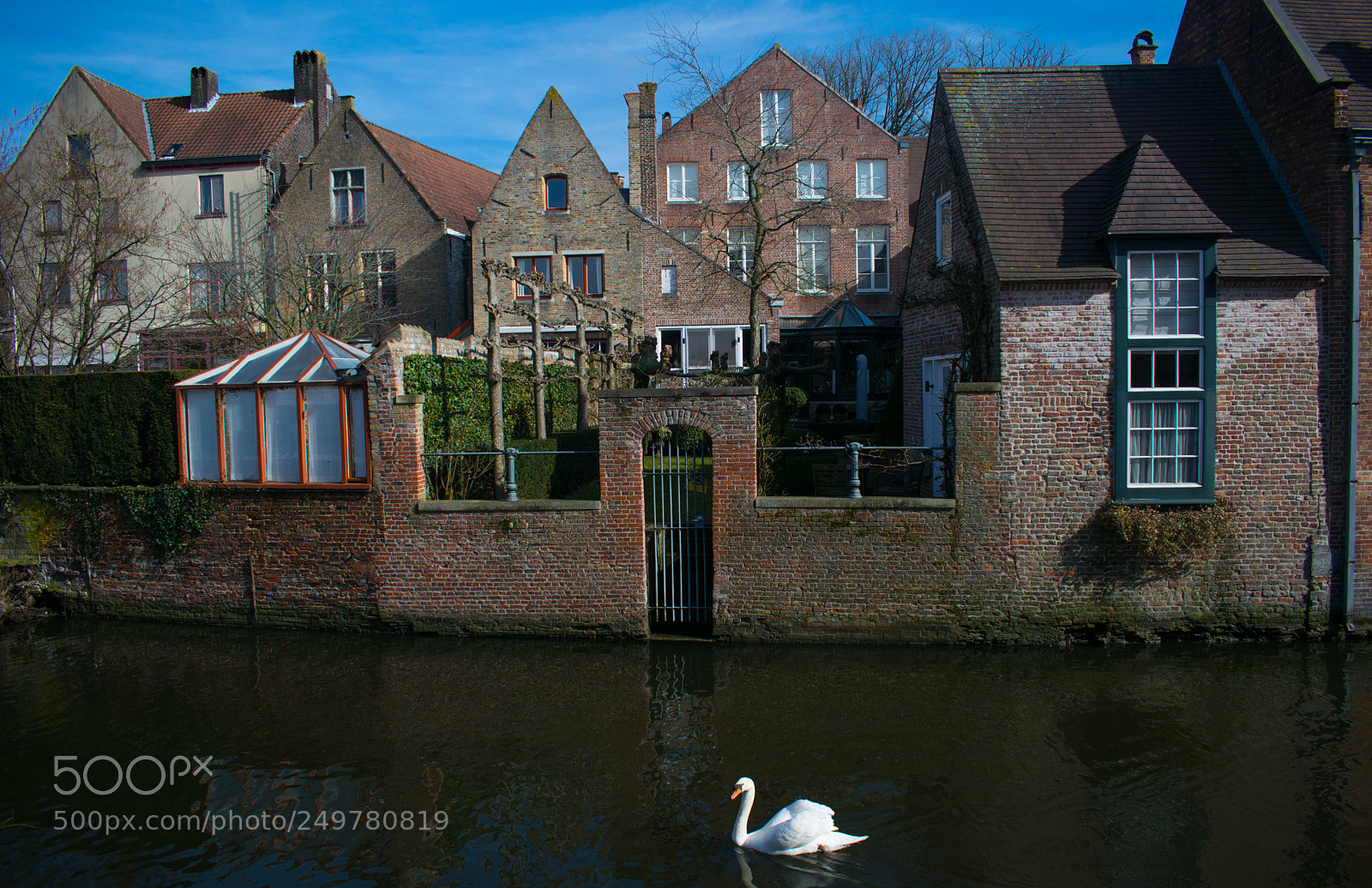Nikon D5300 sample photo. Wite swan photography