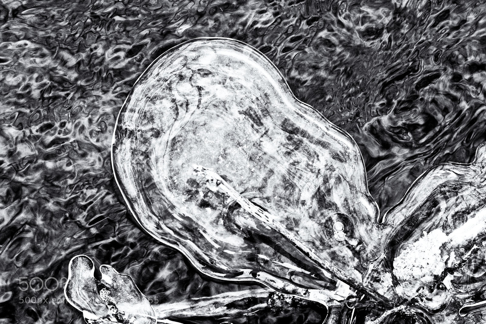 Canon EOS 60D sample photo. Ice formation photography