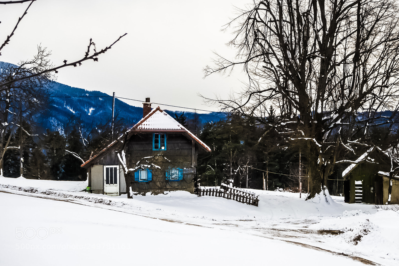 Olympus OM-D E-M10 sample photo. Blue windows photography