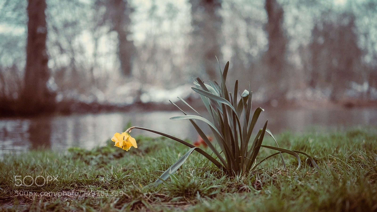 Fujifilm GFX 50S sample photo. March winter photography