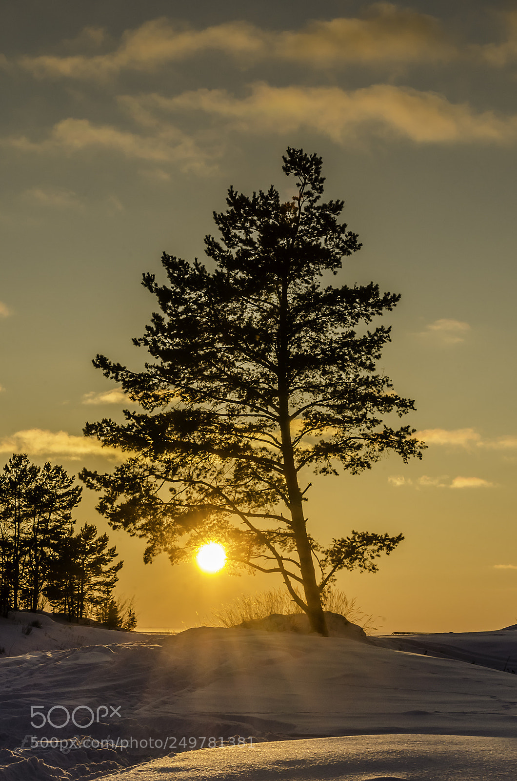 Nikon D7000 sample photo. Winter sunset with a photography
