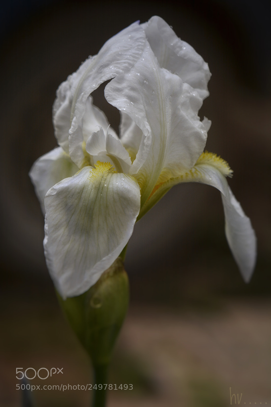 Nikon D7100 sample photo. Wheel of time photography
