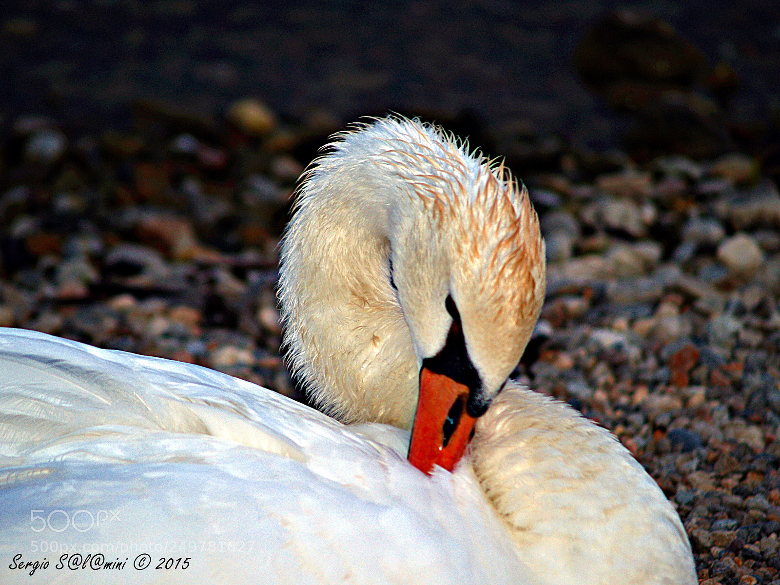 Olympus E-300 (EVOLT E-300) sample photo. Solitude photography