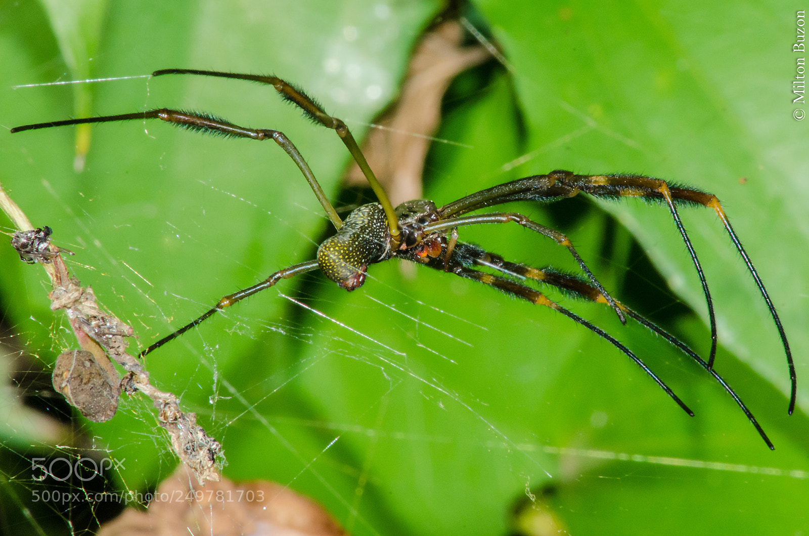 Nikon D7000 sample photo. To frighten ... photography