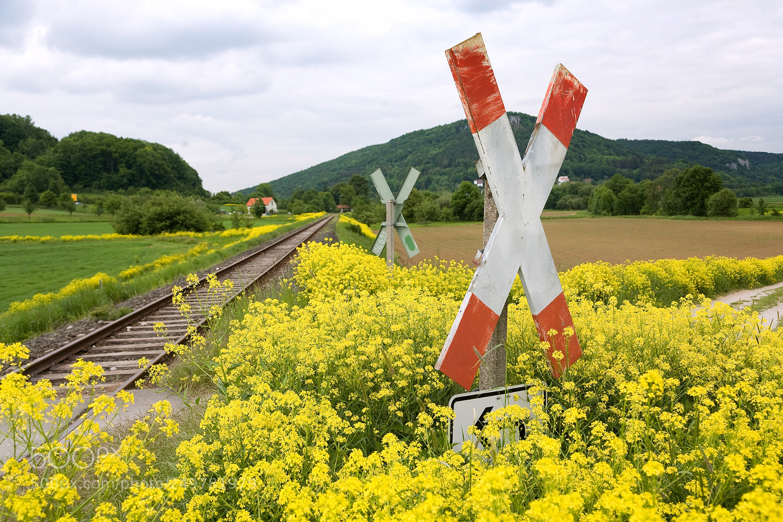 Canon EOS 5D sample photo. Railroad crossing in franconia photography