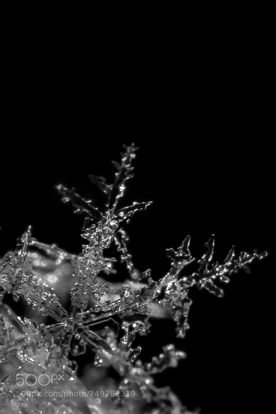 Canon EOS 100D (EOS Rebel SL1 / EOS Kiss X7) sample photo. Snowflake photography