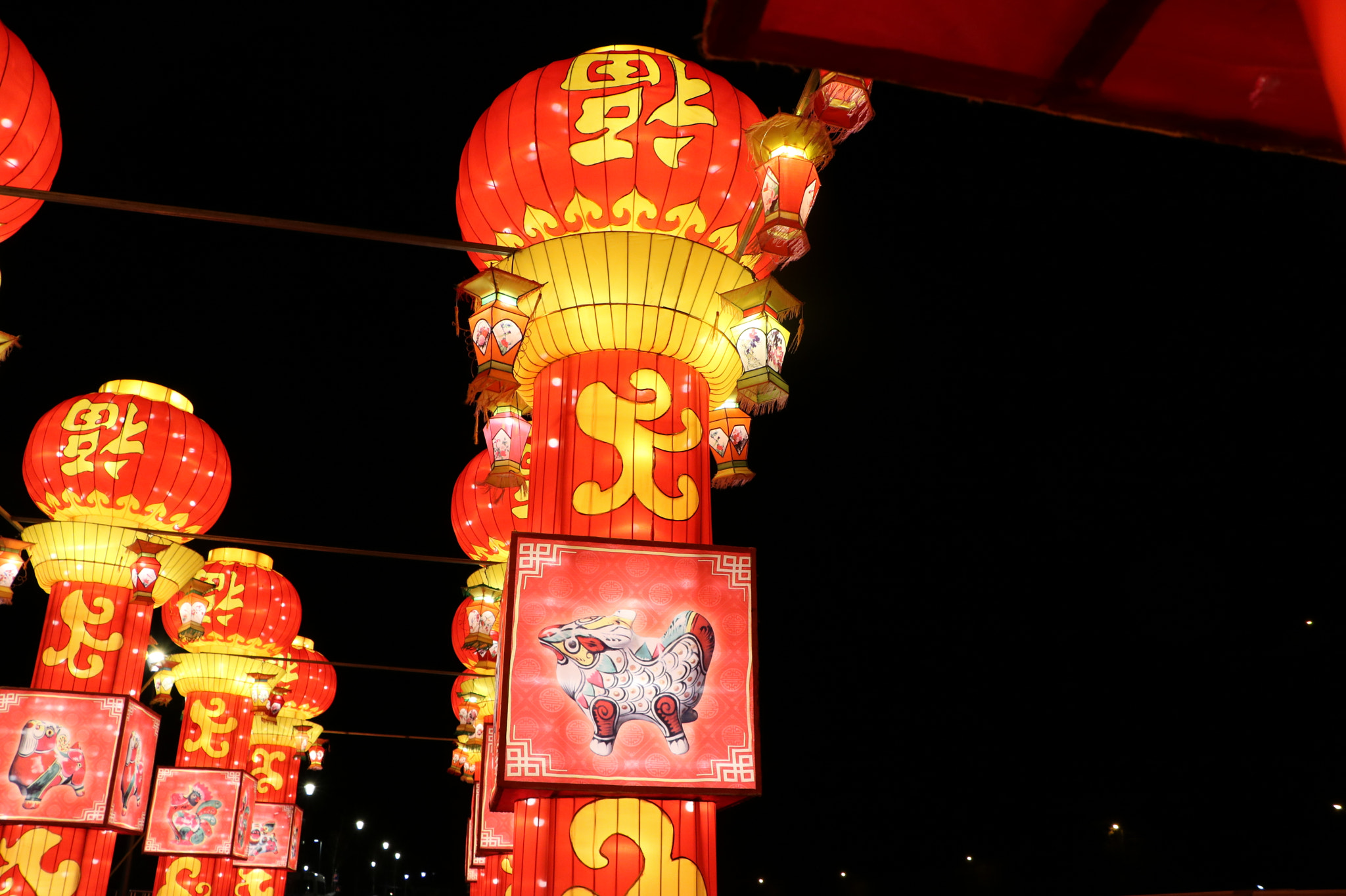 Canon EOS 760D (EOS Rebel T6s / EOS 8000D) sample photo. Nuit de chine - 10 photography