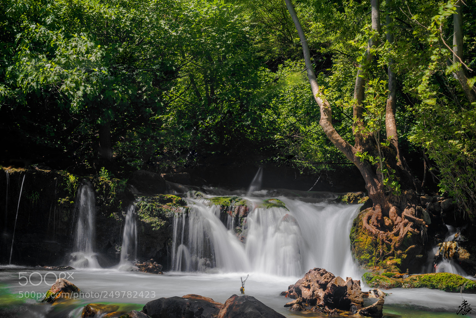Nikon D610 sample photo. Untitled photography